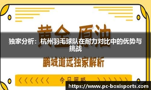 独家分析：杭州羽毛球队在耐力对比中的优势与挑战